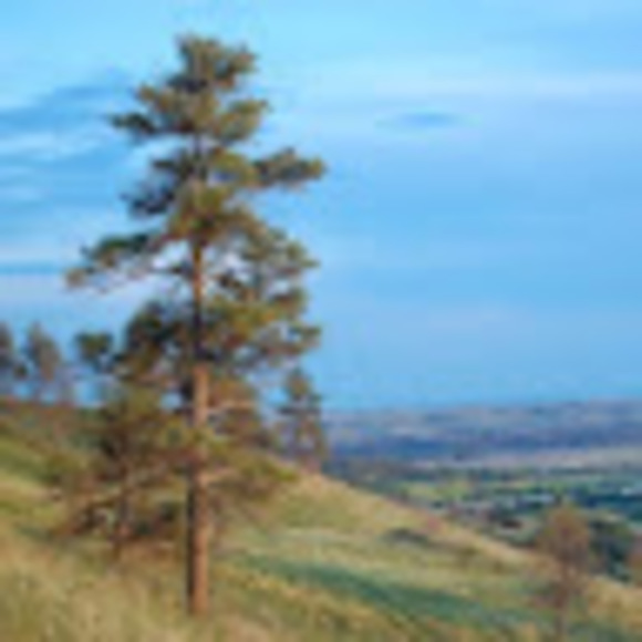 Meet your Posher, Kate - Picture 1 of 1